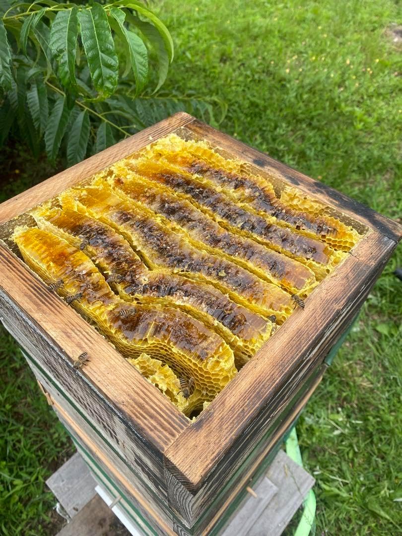 日本蜜蜂重箱式巣箱 捕獲飼育用 日本蜜蜂重箱式巣箱 捕獲飼育用